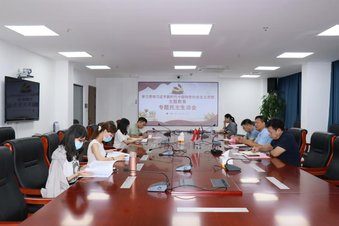 主題教育｜石化設(shè)計院黨委召開主題教育暨巡察整改專題民主生活會